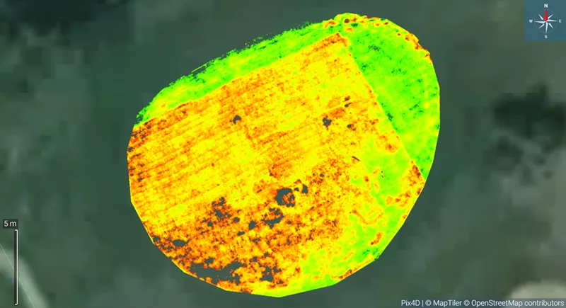 Análisis imagen espectral campo de golf